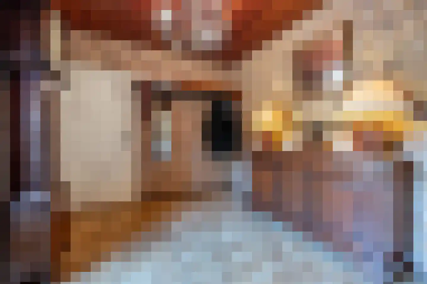 Raadhuislaan 14 Mijnsheerenland thumbnail 15