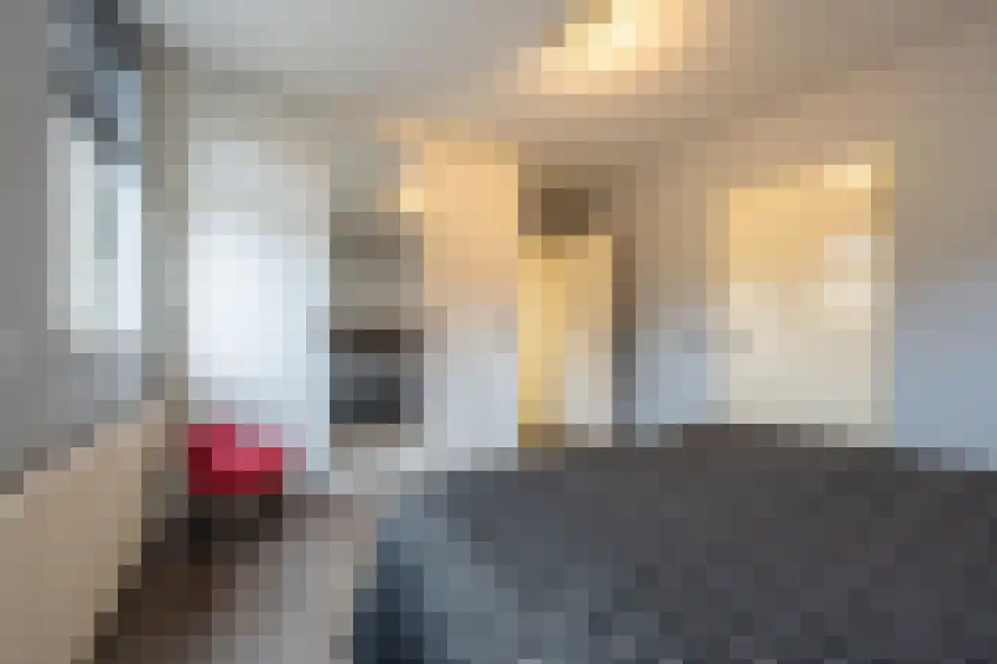 Raadhuislaan 14 Mijnsheerenland thumbnail 17