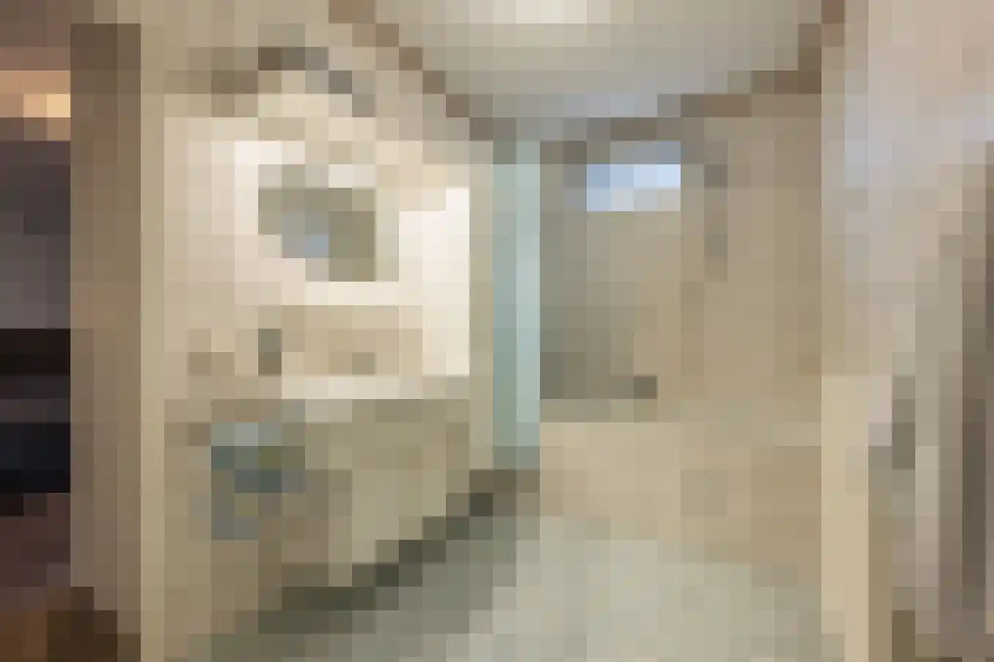 Raadhuislaan 14 Mijnsheerenland thumbnail 18