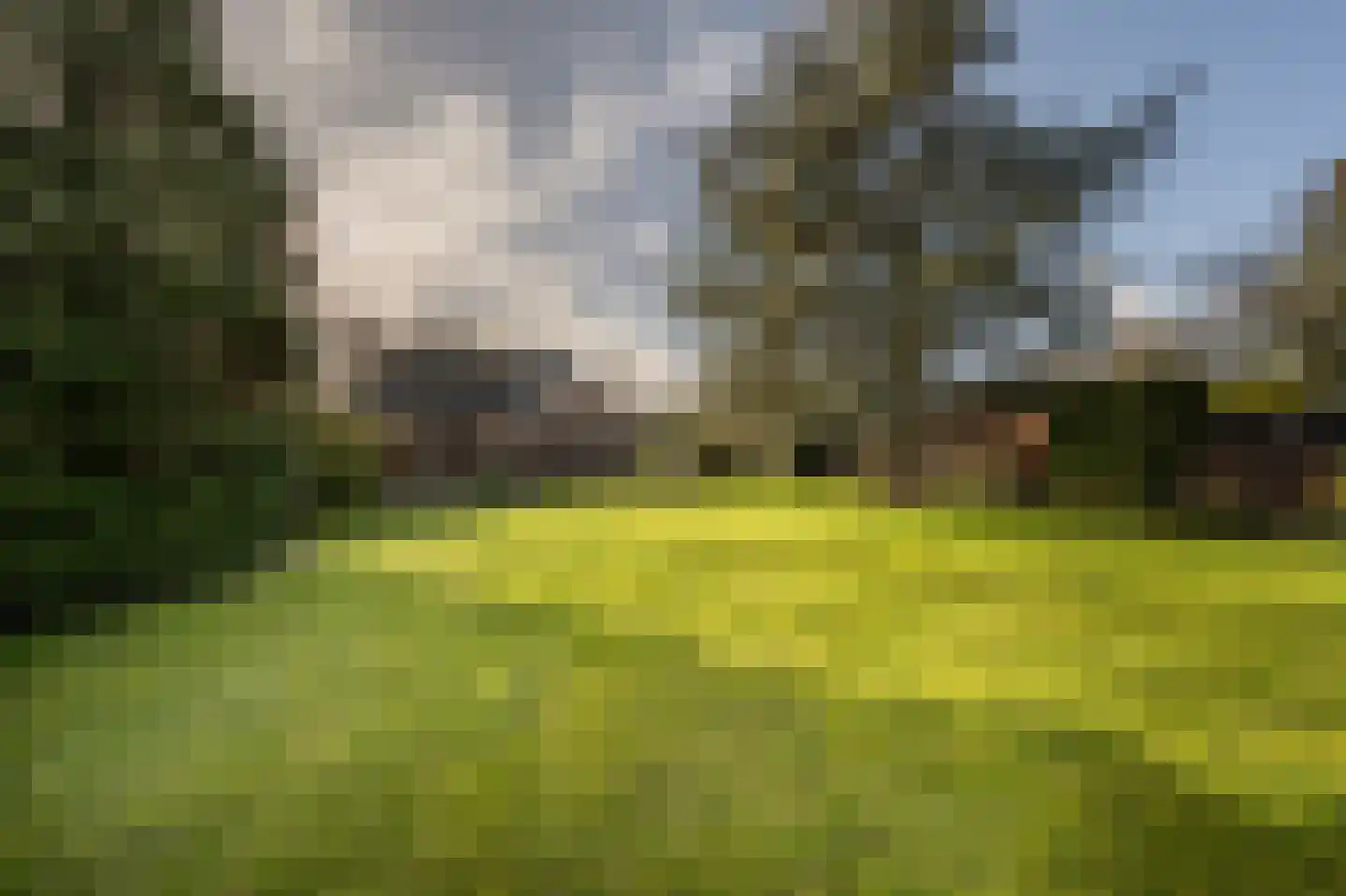 Raadhuislaan 14 Mijnsheerenland foto 2