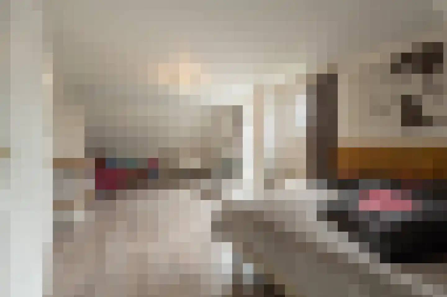 Raadhuislaan 14 Mijnsheerenland thumbnail 23