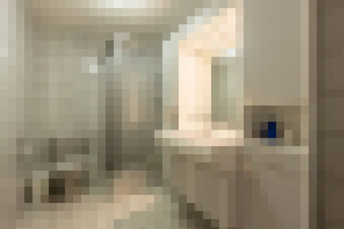 Raadhuislaan 14 Mijnsheerenland thumbnail 29
