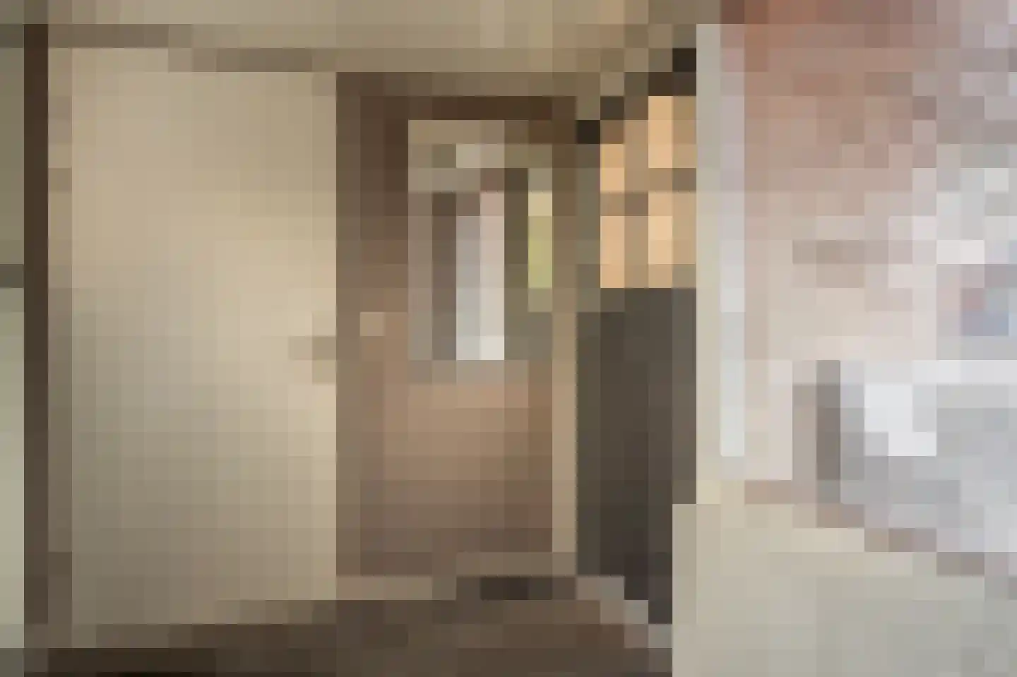 Raadhuislaan 14 Mijnsheerenland thumbnail 30