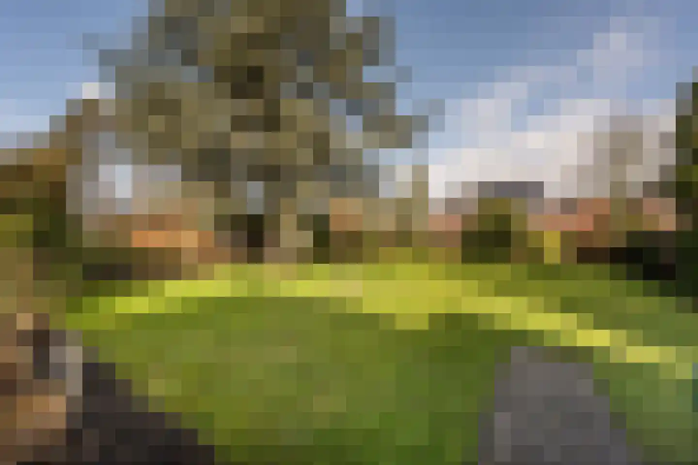 Raadhuislaan 14 Mijnsheerenland thumbnail 31