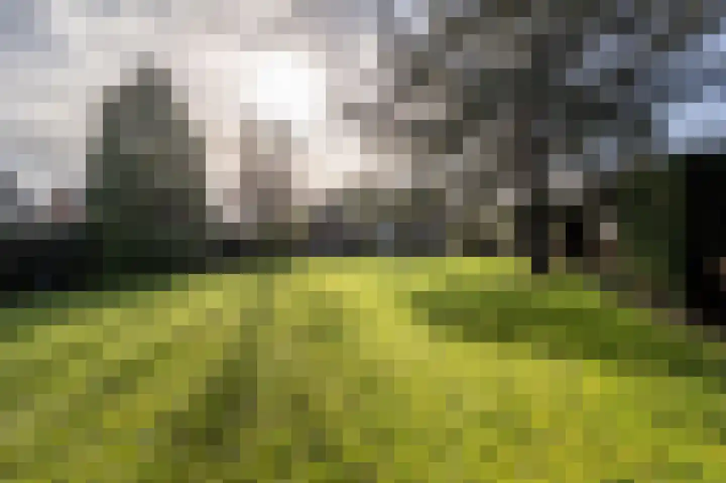 Raadhuislaan 14 Mijnsheerenland thumbnail 32