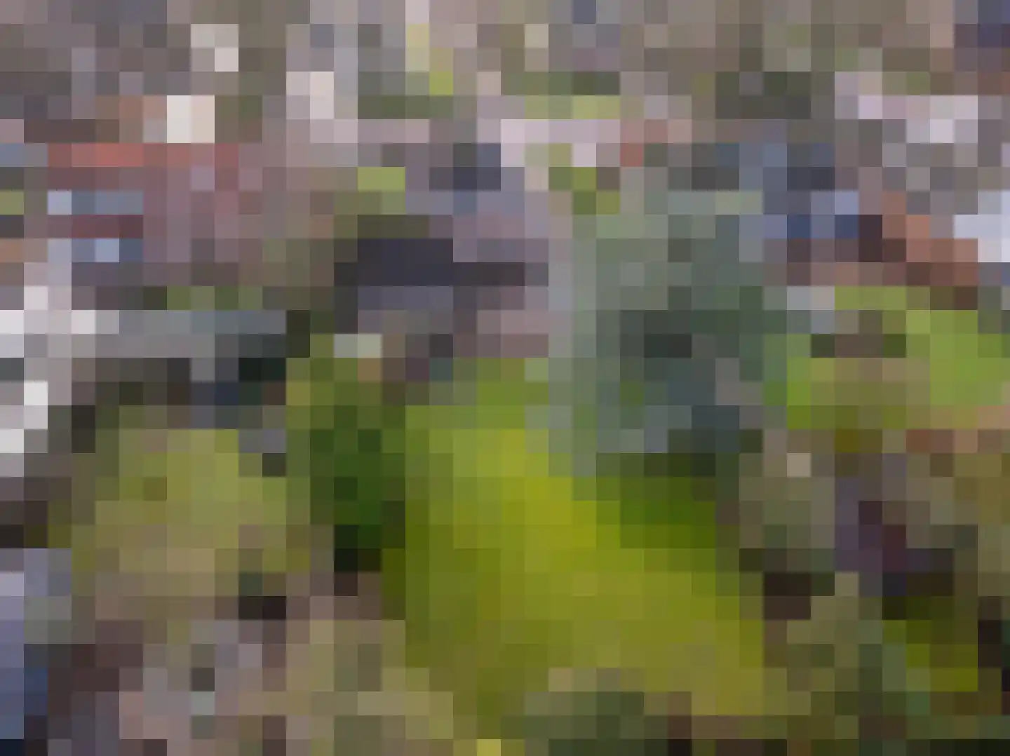 Raadhuislaan 14 Mijnsheerenland thumbnail 34