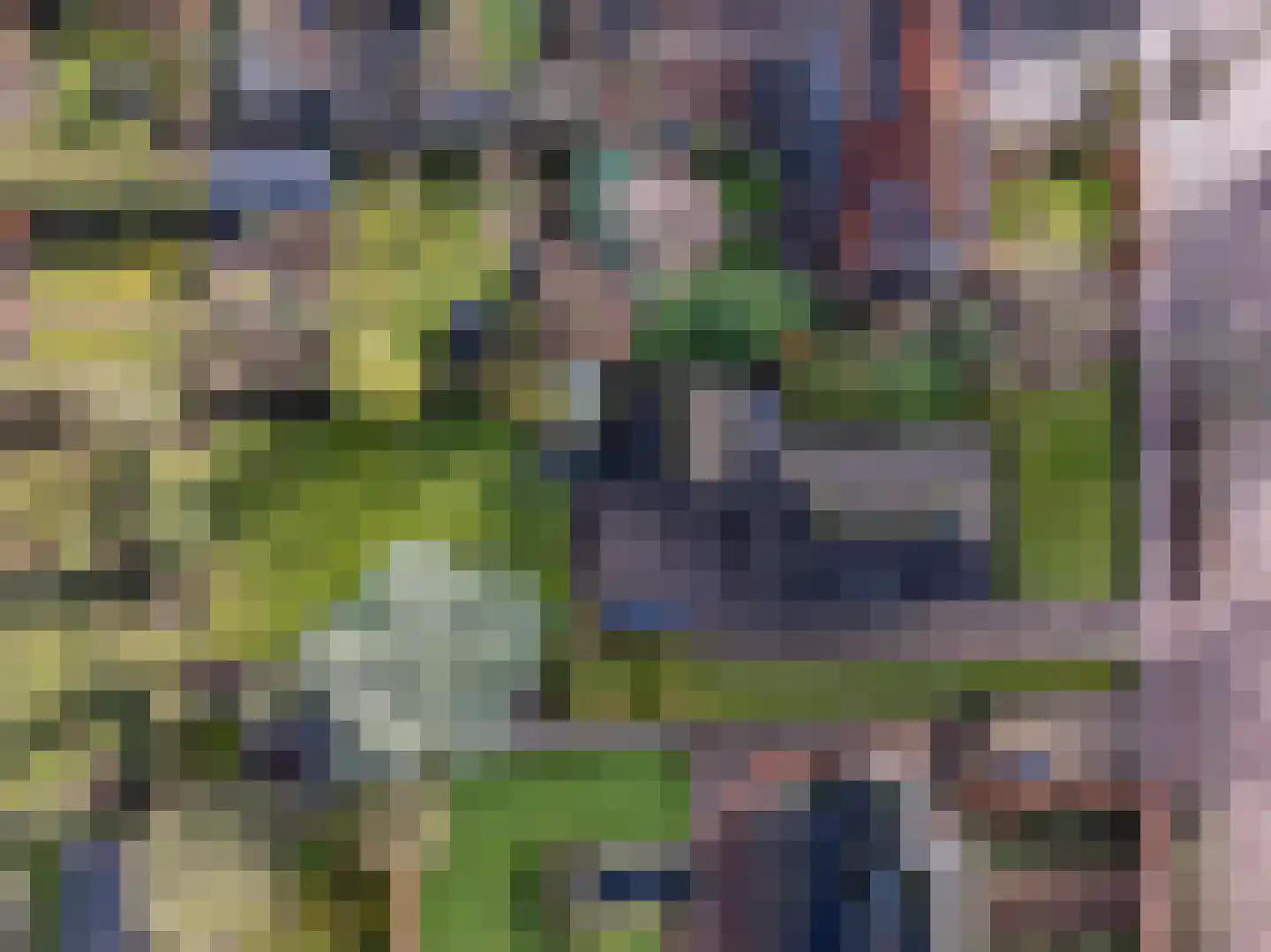 Raadhuislaan 14 Mijnsheerenland thumbnail 35