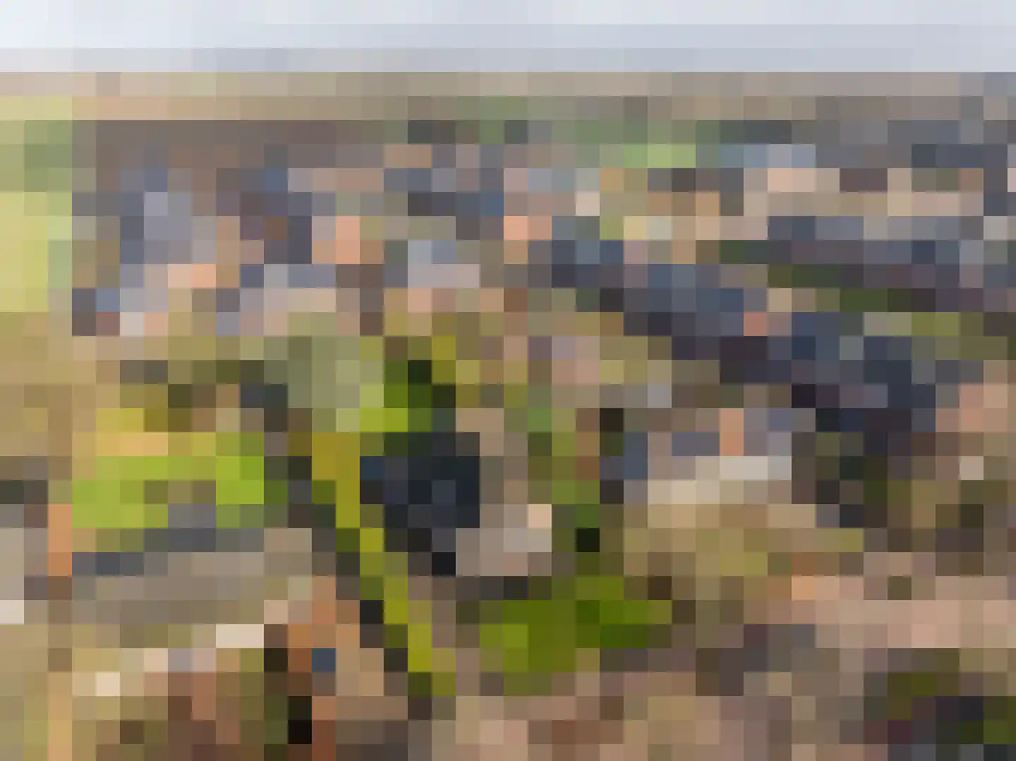 Raadhuislaan 14 Mijnsheerenland thumbnail 36