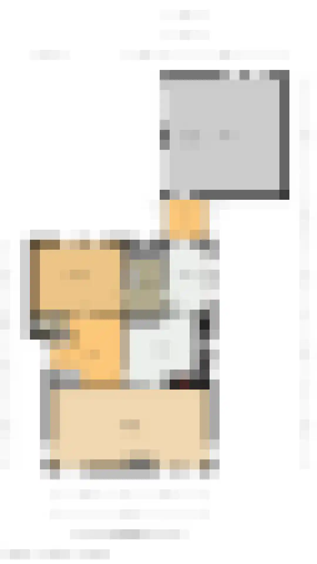 Raadhuislaan 14 Mijnsheerenland thumbnail 39