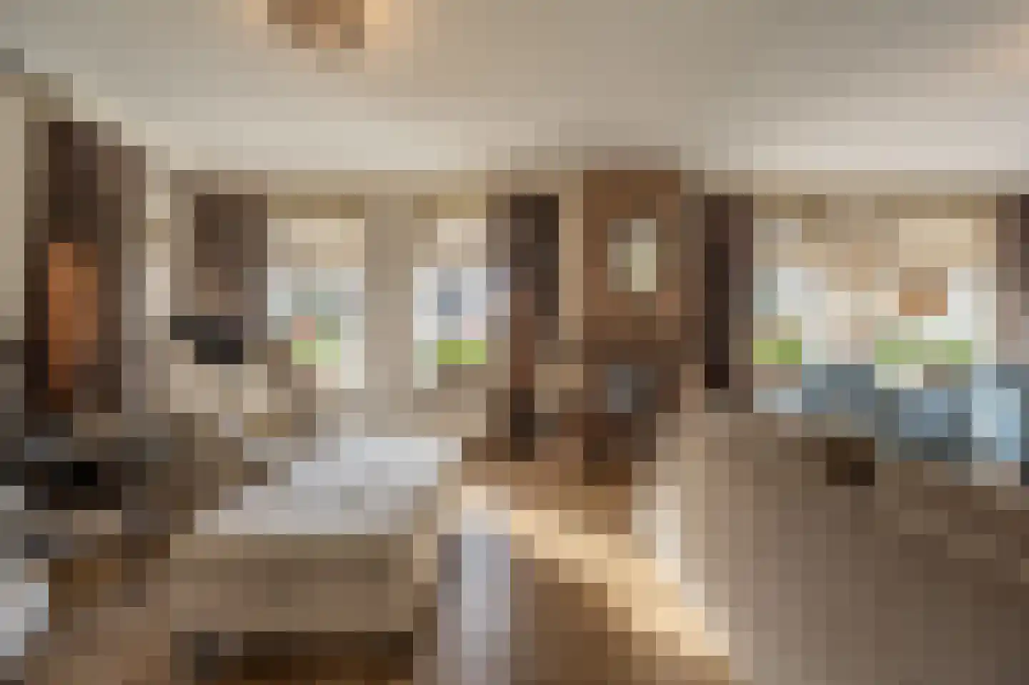 Raadhuislaan 14 Mijnsheerenland thumbnail 4