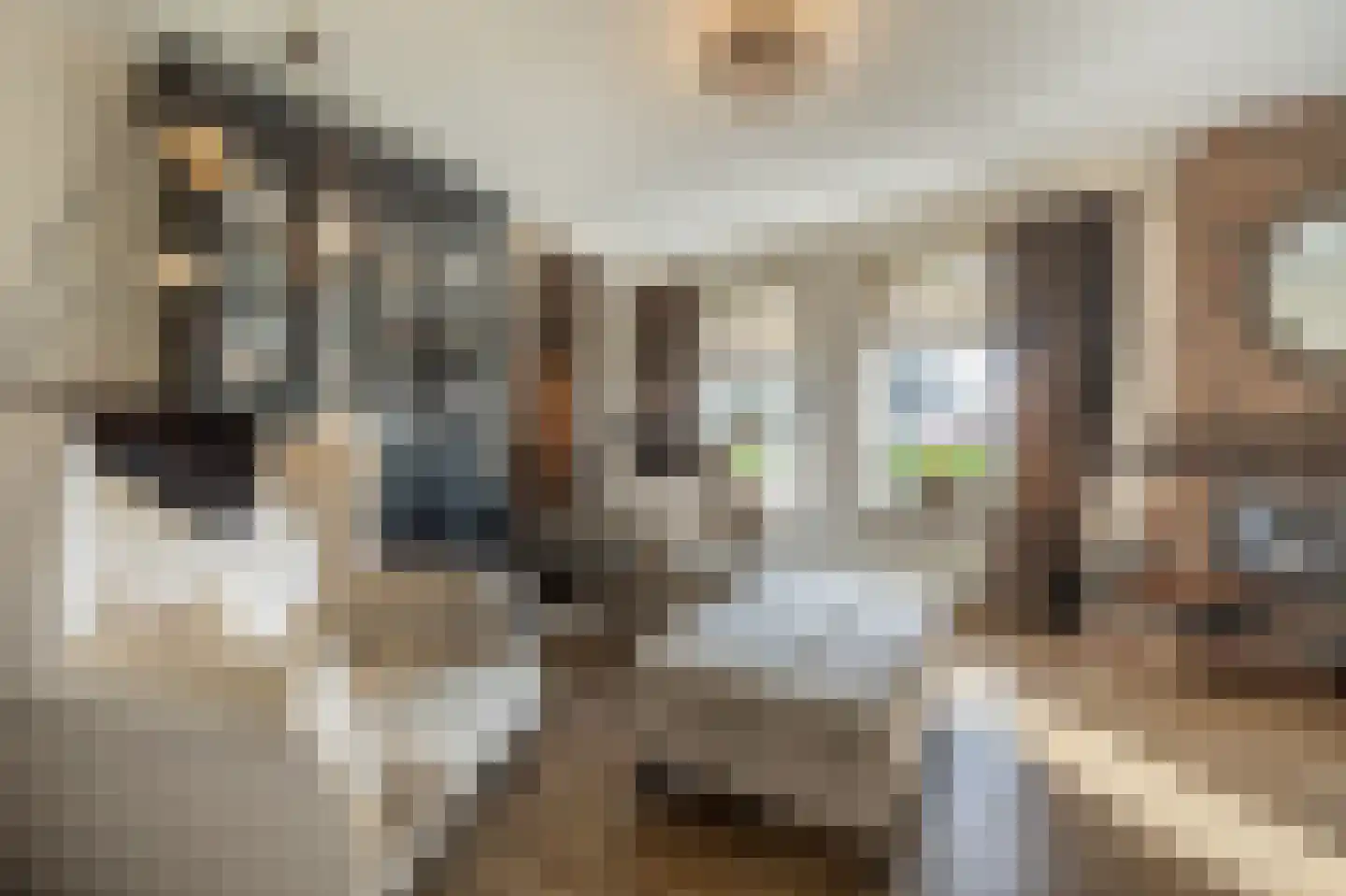 Raadhuislaan 14 Mijnsheerenland thumbnail 5
