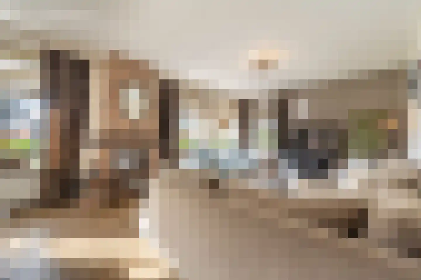 Raadhuislaan 14 Mijnsheerenland thumbnail 6