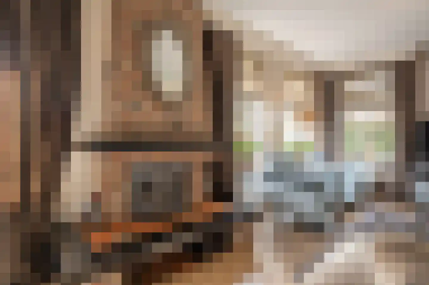 Raadhuislaan 14 Mijnsheerenland thumbnail 7