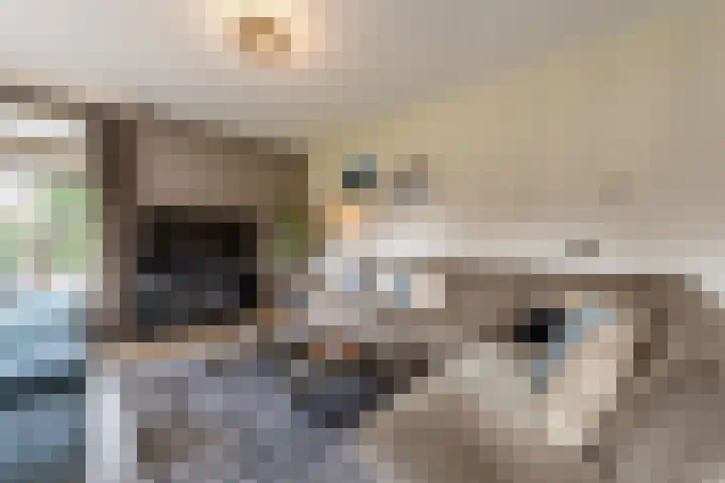 Raadhuislaan 14 Mijnsheerenland thumbnail 8