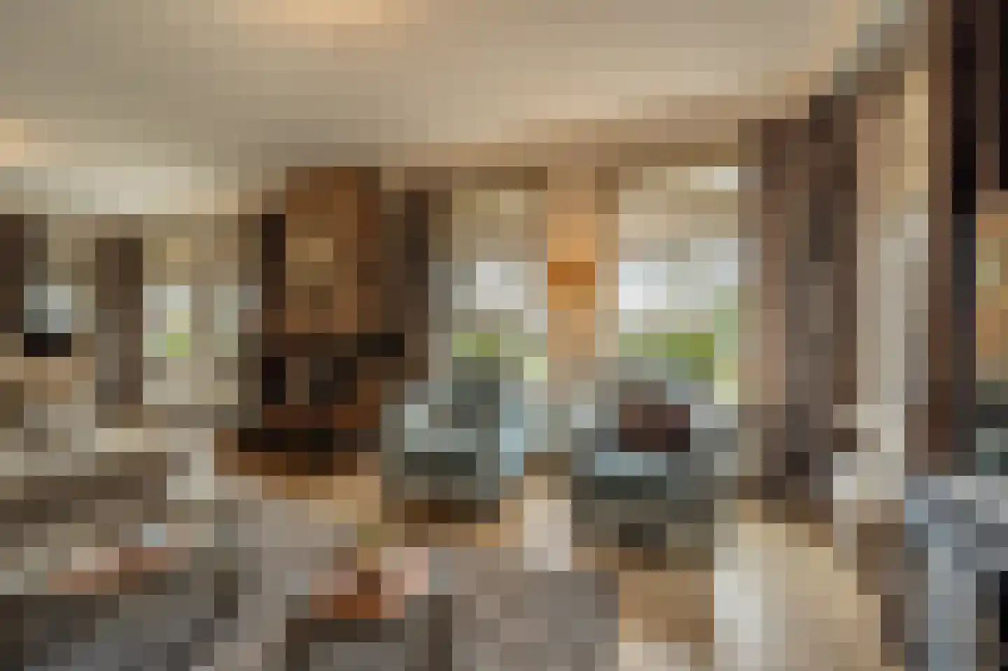 Raadhuislaan 14 Mijnsheerenland thumbnail 9