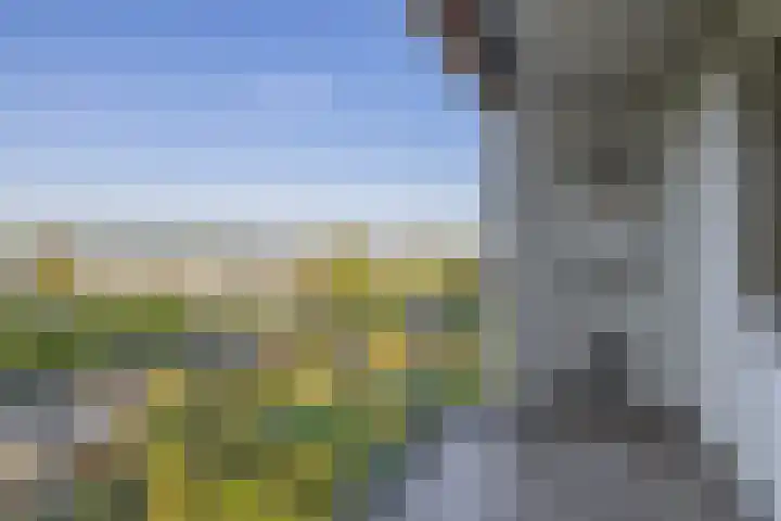 Raadhuislaan 142 Voorschoten thumbnail 28