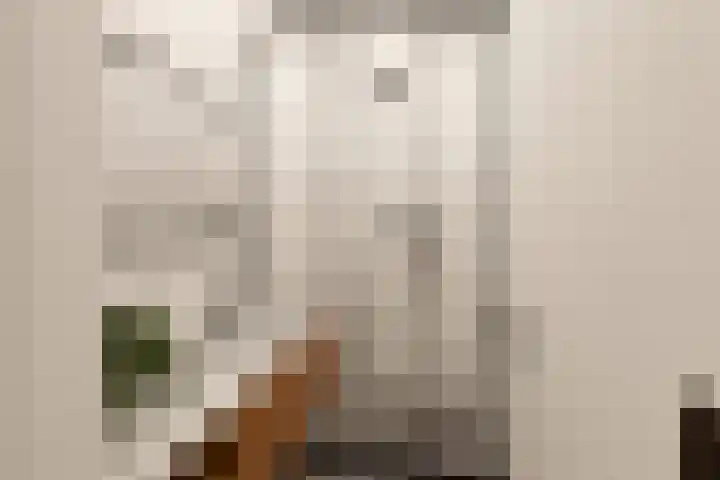 Raadhuislaan 142 Voorschoten thumbnail 33