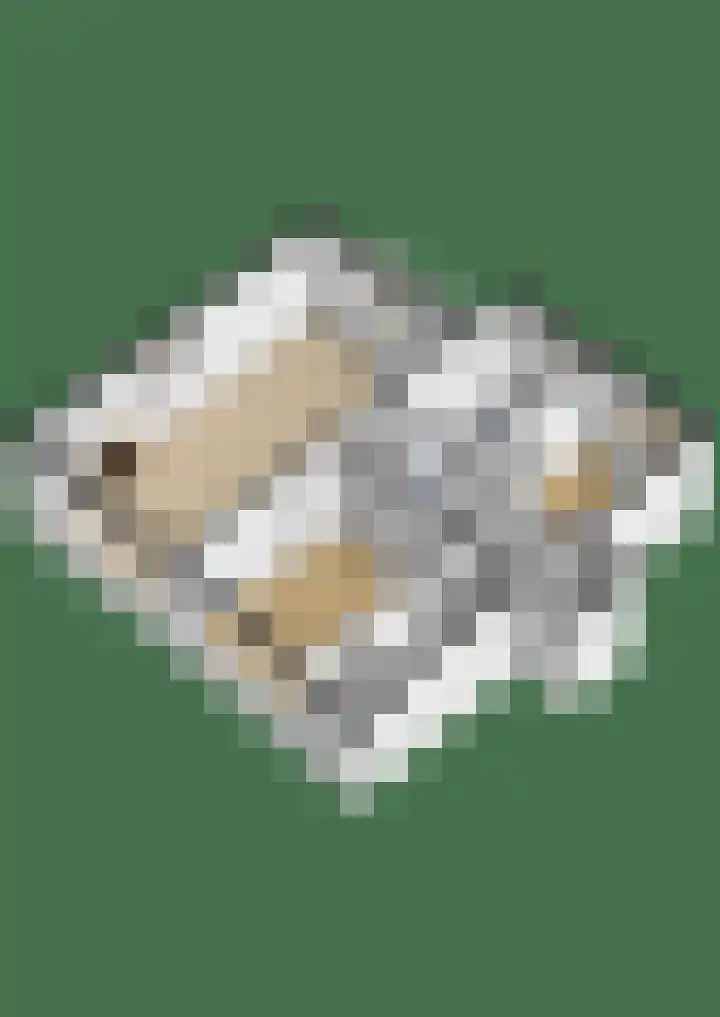 Raadhuislaan 142 Voorschoten thumbnail 45