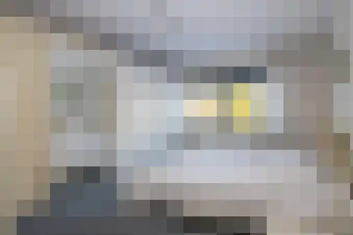Raadhuislaan 17 Maarn thumbnail 19