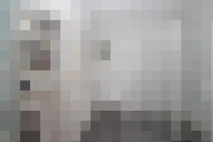 Raadhuislaan 17 Maarn thumbnail 23