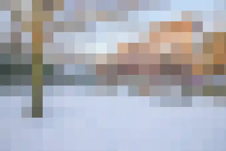 Raadhuislaan 17 Maarn thumbnail 28