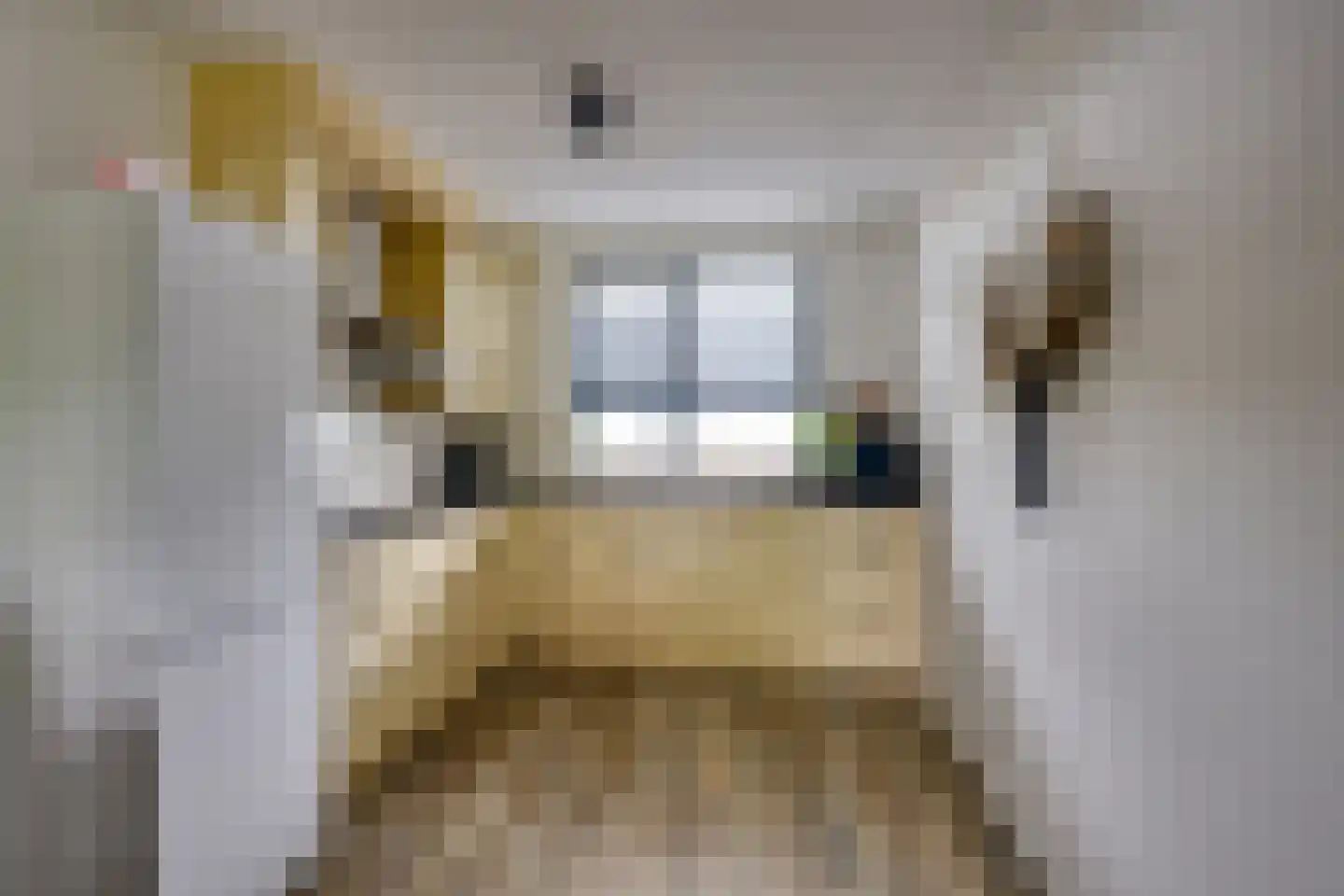 Raadhuislaan 2 302 Werkendam thumbnail 15