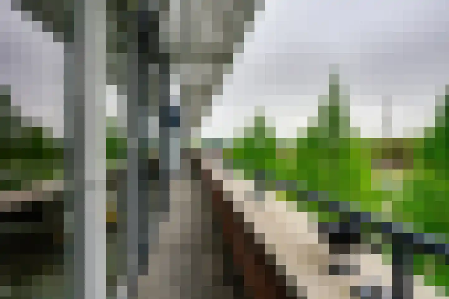 Raadhuislaan 2 302 Werkendam thumbnail 17