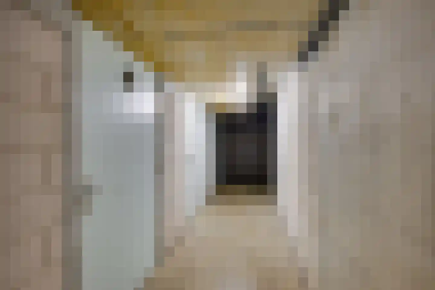 Raadhuislaan 2 302 Werkendam thumbnail 26