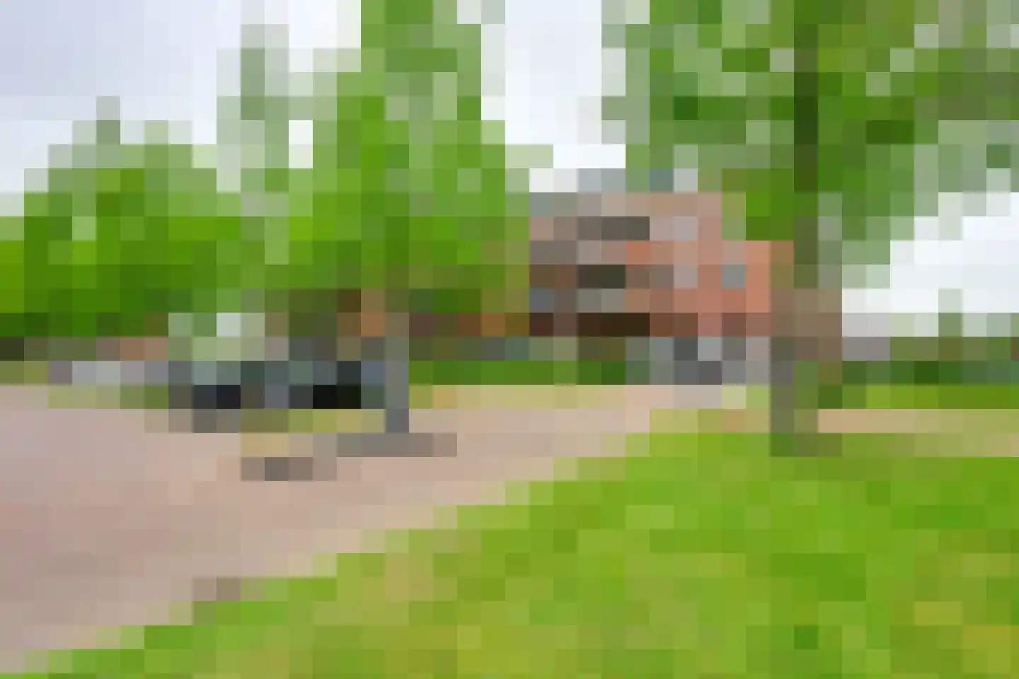 Raadhuislaan 2 302 Werkendam thumbnail 30