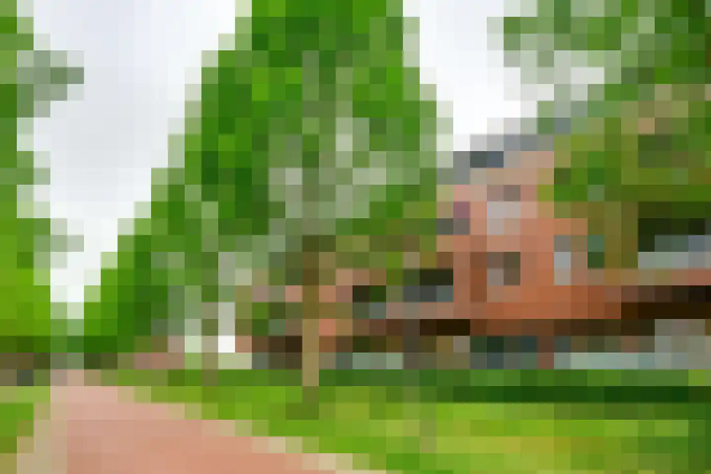 Raadhuislaan 2 302 Werkendam thumbnail 4