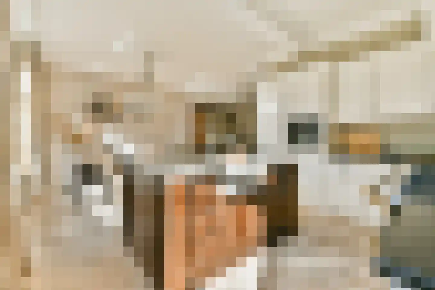 Raadhuislaan 2 Abcoude thumbnail 10