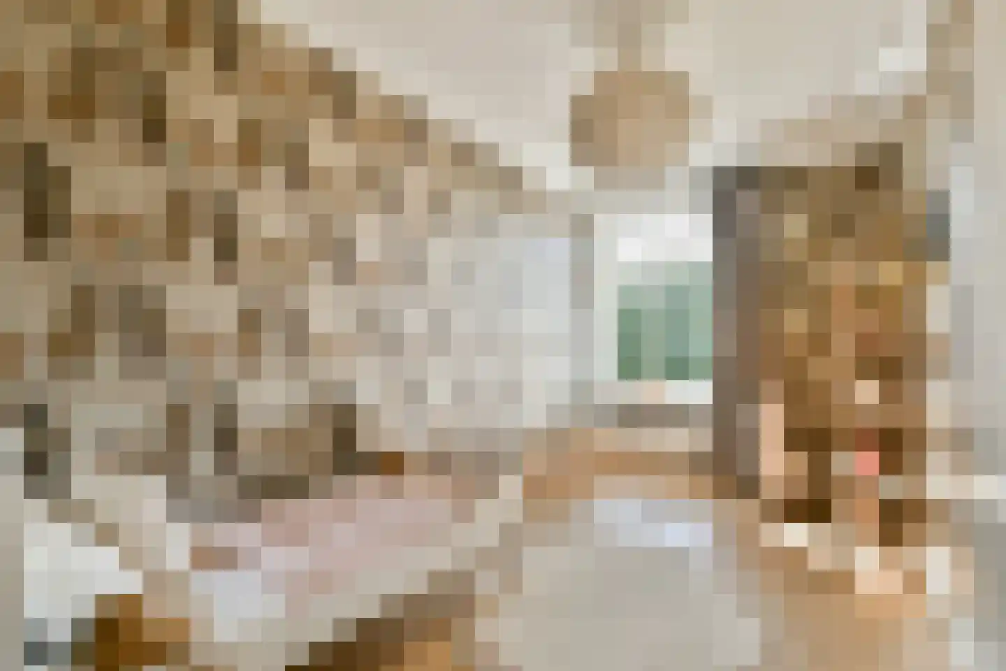 Raadhuislaan 2 Abcoude thumbnail 21