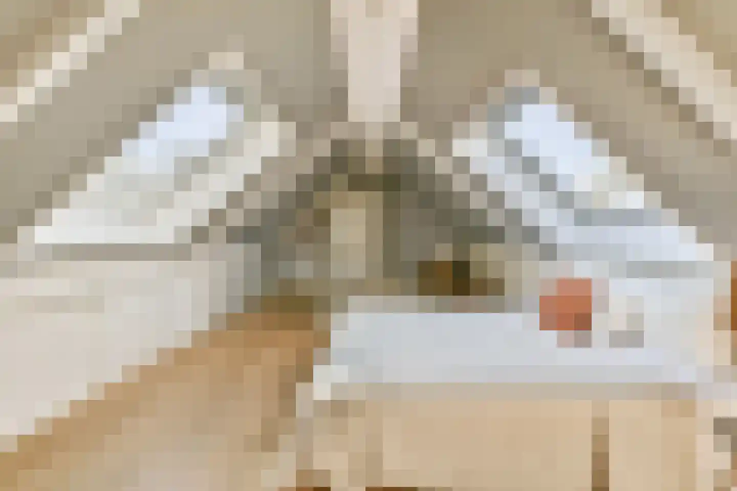 Raadhuislaan 2 Abcoude thumbnail 32