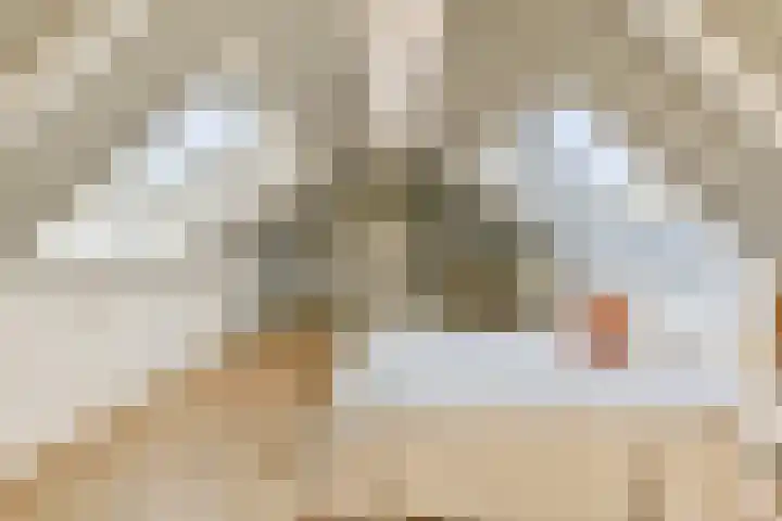 Raadhuislaan 2 Abcoude thumbnail 32
