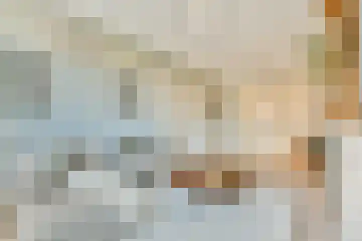 Raadhuislaan 2 Abcoude thumbnail 4