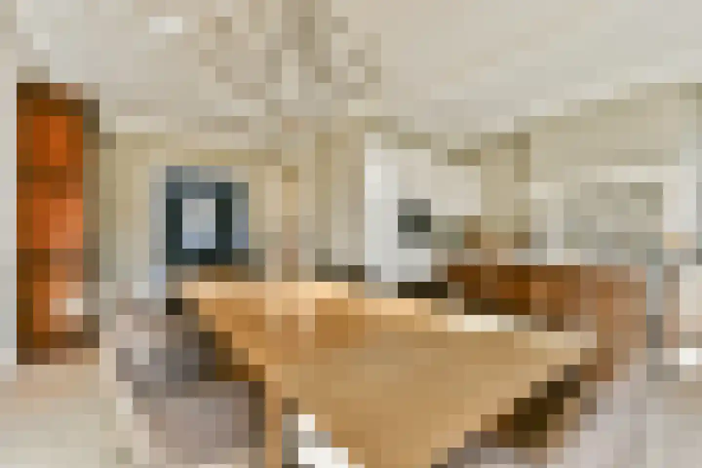 Raadhuislaan 2 Abcoude thumbnail 7