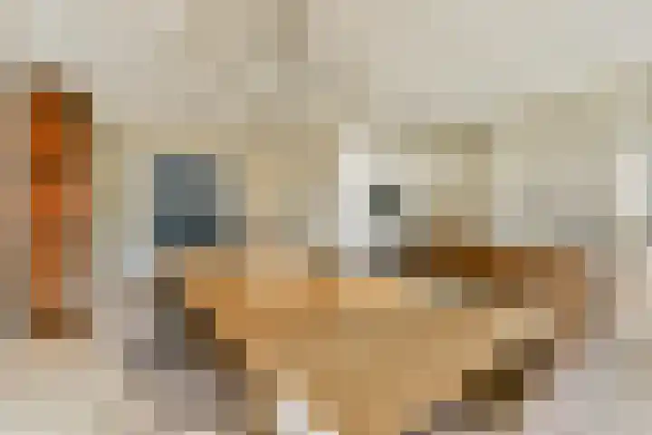 Raadhuislaan 2 Abcoude thumbnail 7