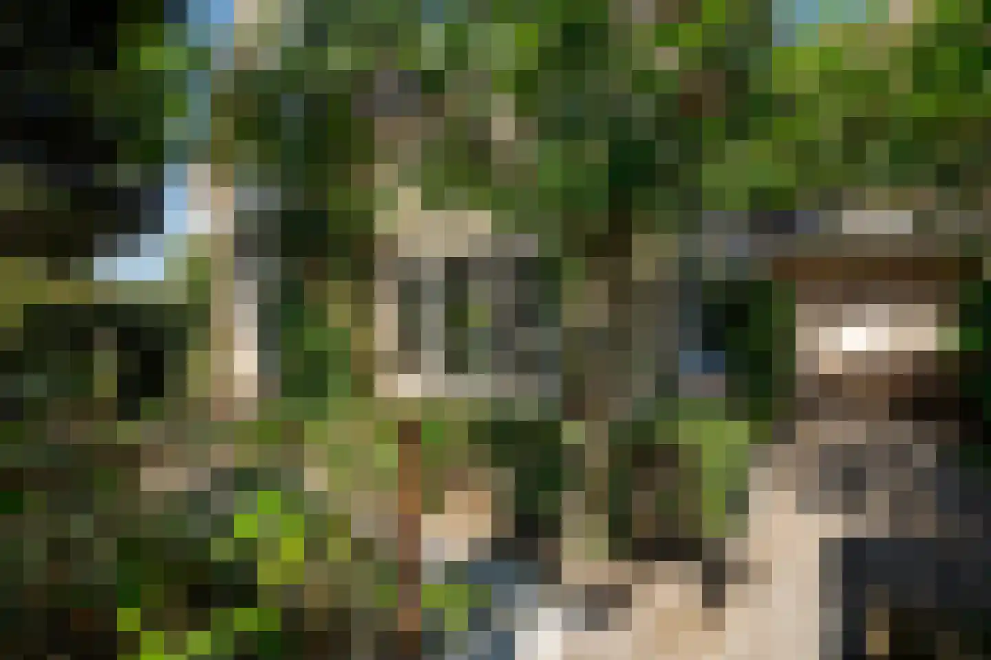 Raadhuislaan 22 b Leimuiden thumbnail 10