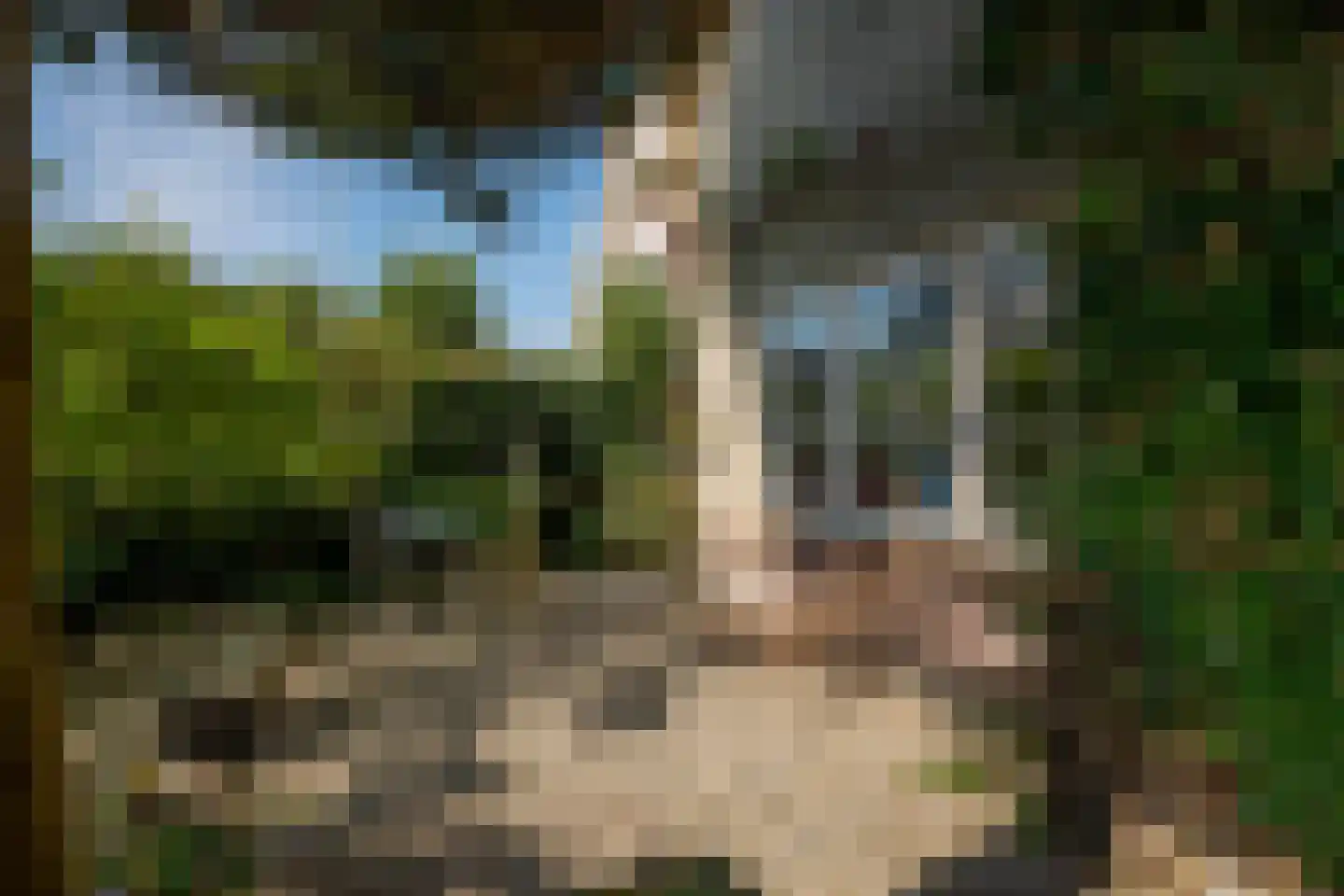 Raadhuislaan 22 b Leimuiden thumbnail 11