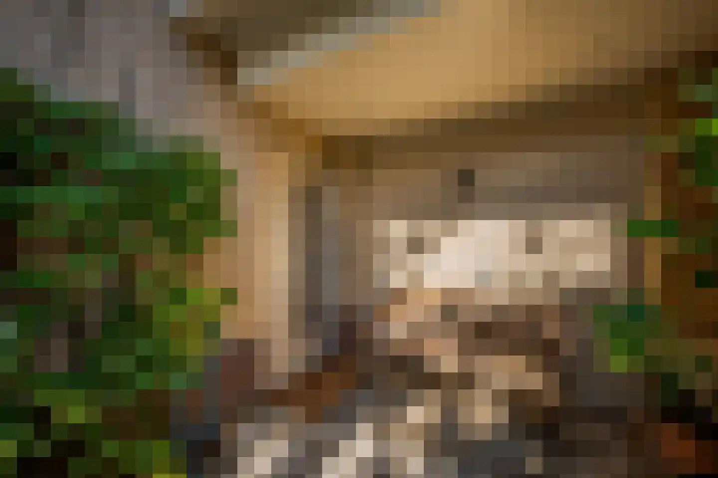 Raadhuislaan 22 b Leimuiden thumbnail 14