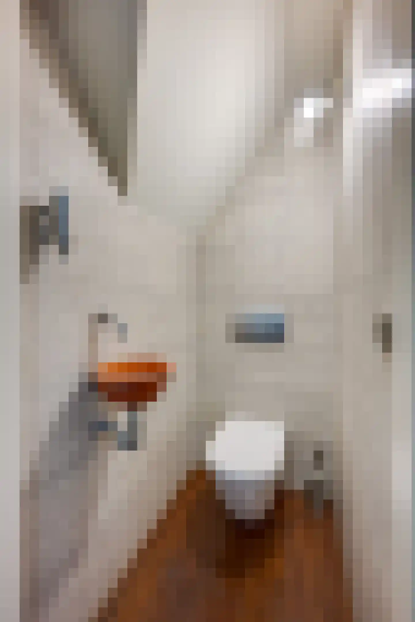 Raadhuislaan 22 b Leimuiden thumbnail 32