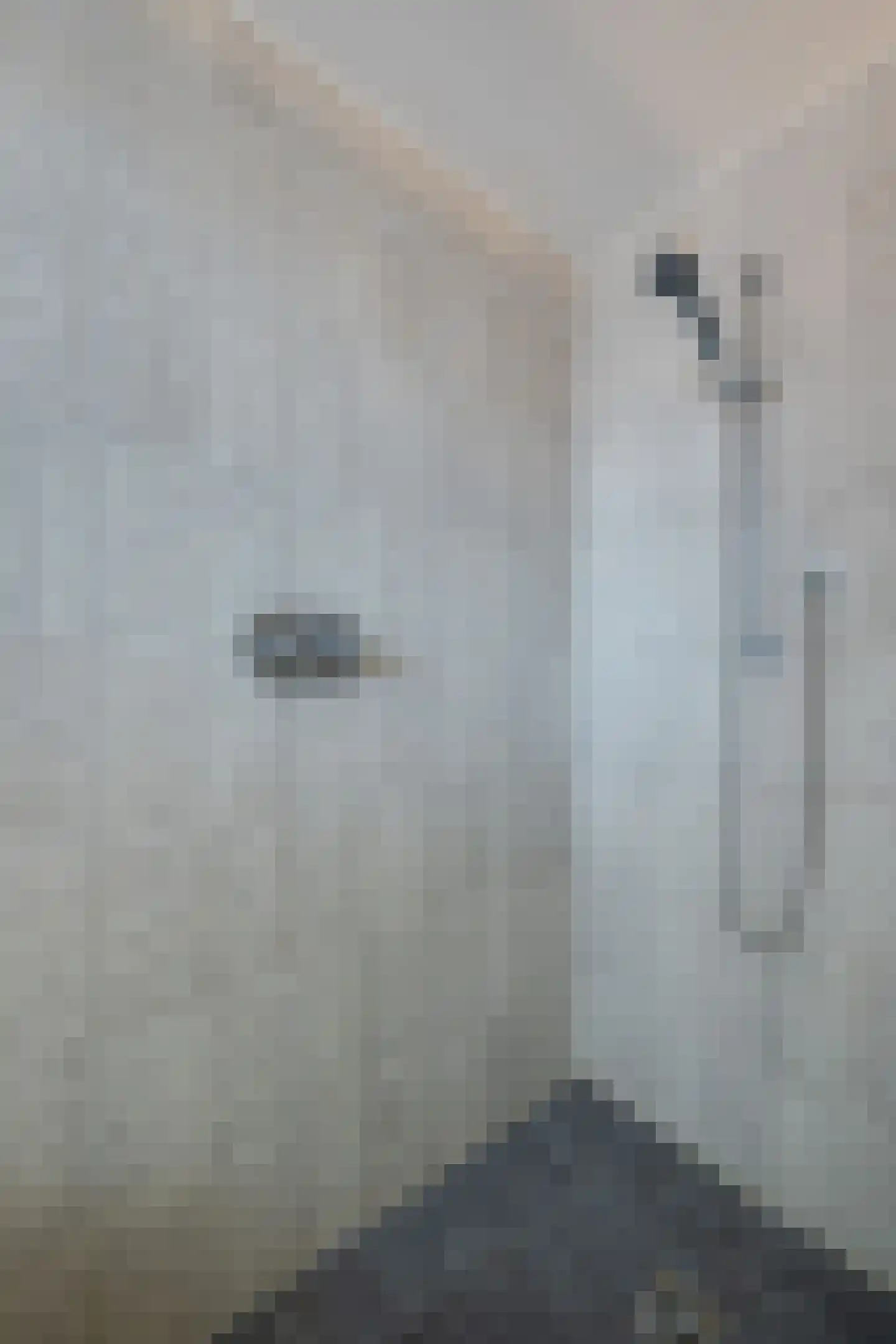Raadhuislaan 22 b Leimuiden thumbnail 38