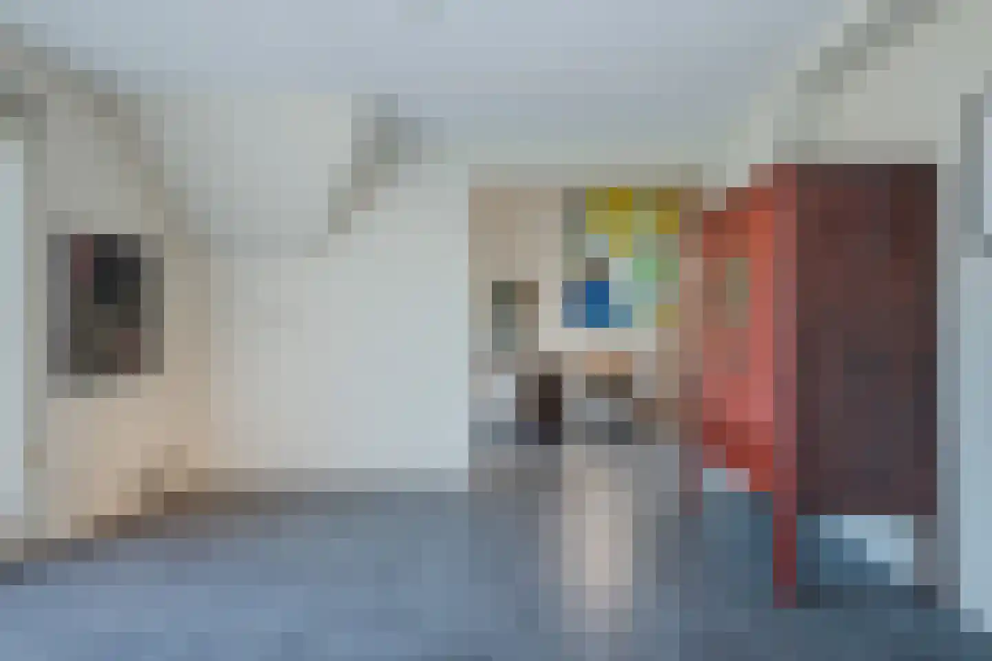 Raadhuislaan 22 b Leimuiden thumbnail 43