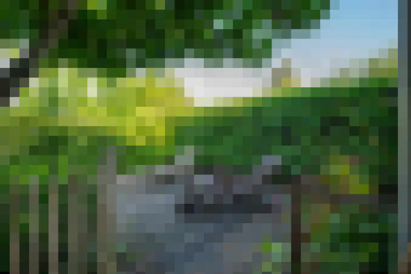 Raadhuislaan 22 b Leimuiden thumbnail 58