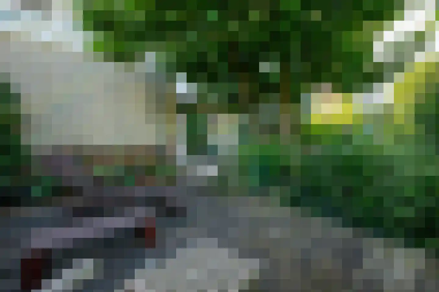 Raadhuislaan 22 b Leimuiden thumbnail 59