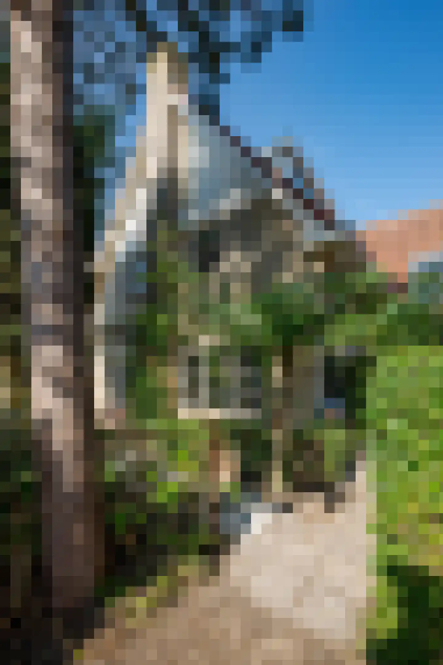 Raadhuislaan 22 b Leimuiden thumbnail 6