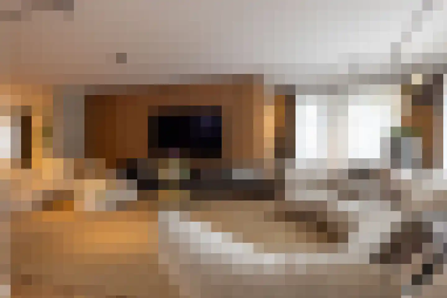 Raadhuislaan 22 Mijnsheerenland thumbnail 10