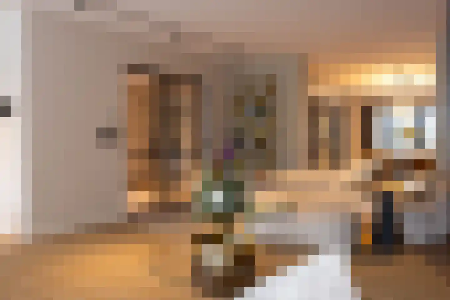 Raadhuislaan 22 Mijnsheerenland thumbnail 13