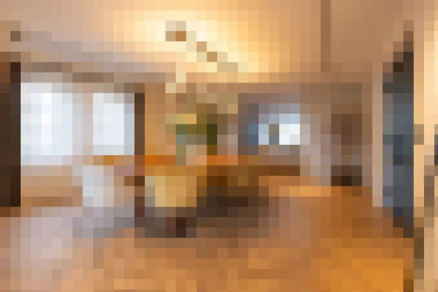 Raadhuislaan 22 Mijnsheerenland thumbnail 17