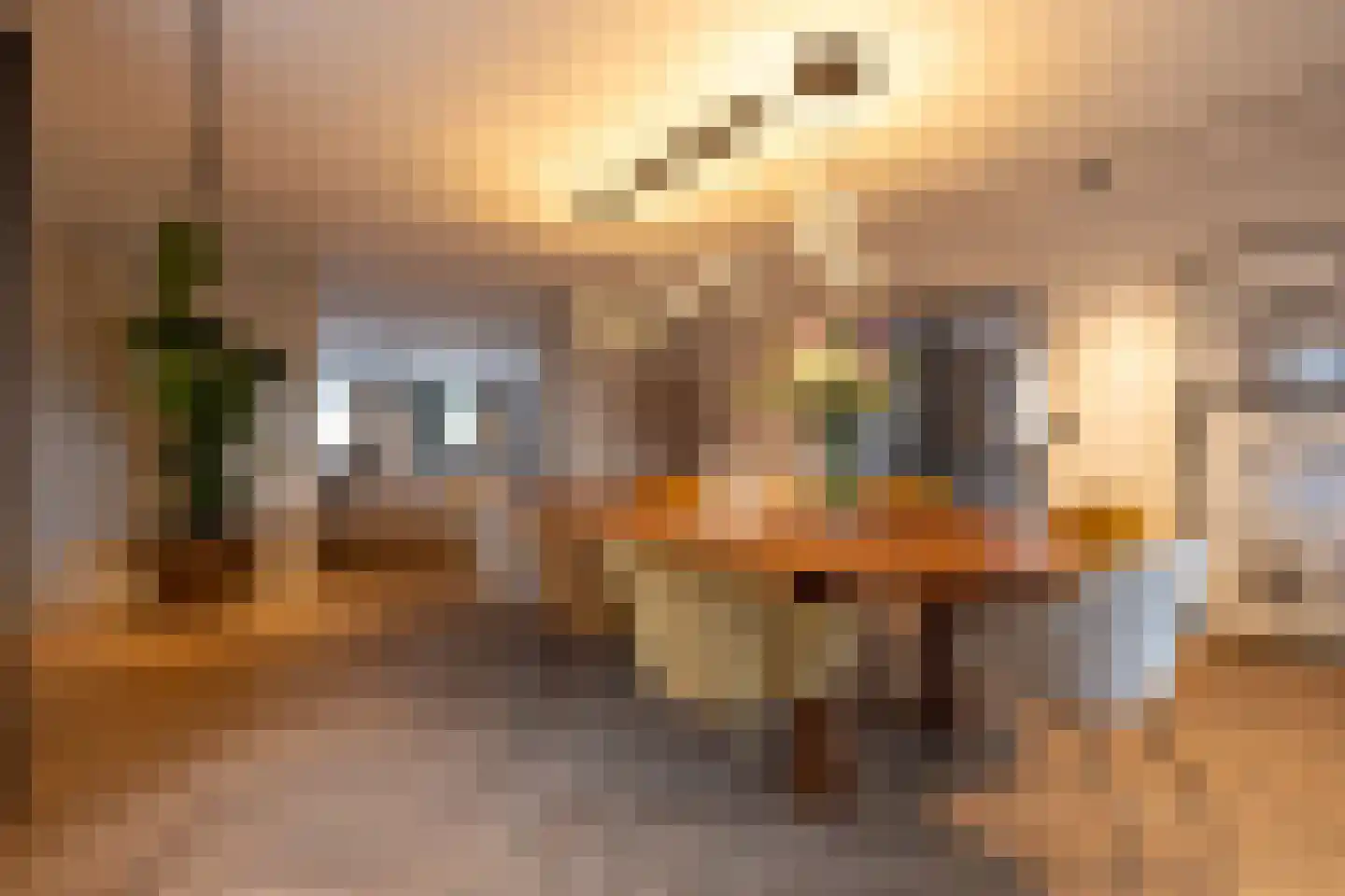Raadhuislaan 22 Mijnsheerenland thumbnail 18
